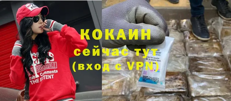 hydra ссылки  Приволжск  Cocaine VHQ  сколько стоит 